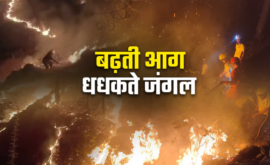उत्तराखंड के जंगलों में आग का भयंकर तांडव, 3 महीने में 300 घटनाएं रिकार्ड, 239 हेक्टेयर वन क्षेत्र राख